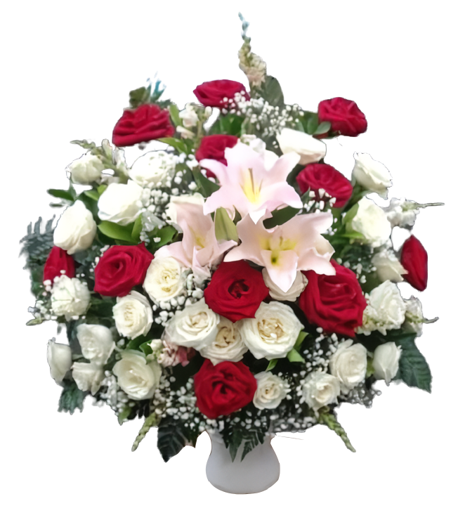 Gambar_WhatsApp_2025-06-25_pukul_11.10.33_8e87b0e9-removebg-preview_waifu2x_photo_noise3_scale Gambar_WhatsApp_2025-06-25_pukul_11.10.33_8e87b0e9-removebg-preview_waifu2x_photo_noise3_scale